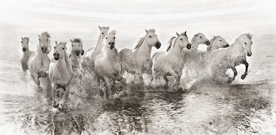 White Horses Running Water by Roman Golubenko — canvas wall art