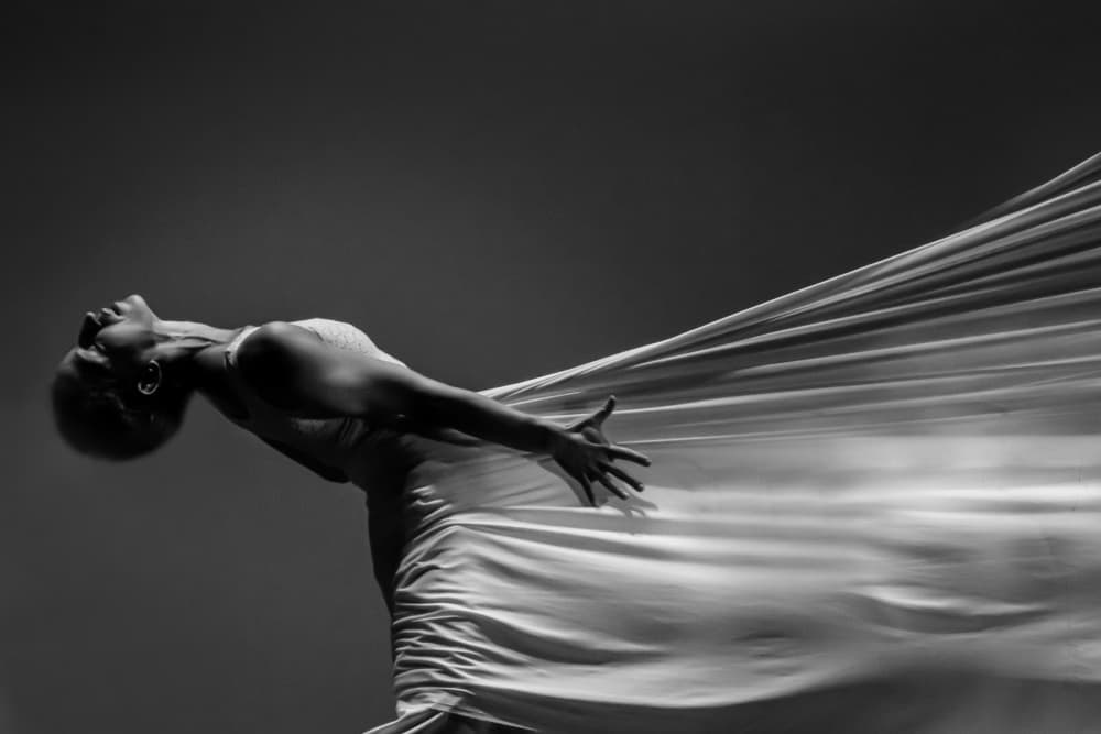 Graceful Fabric Movement by Rachel Pansky — canvas wall art