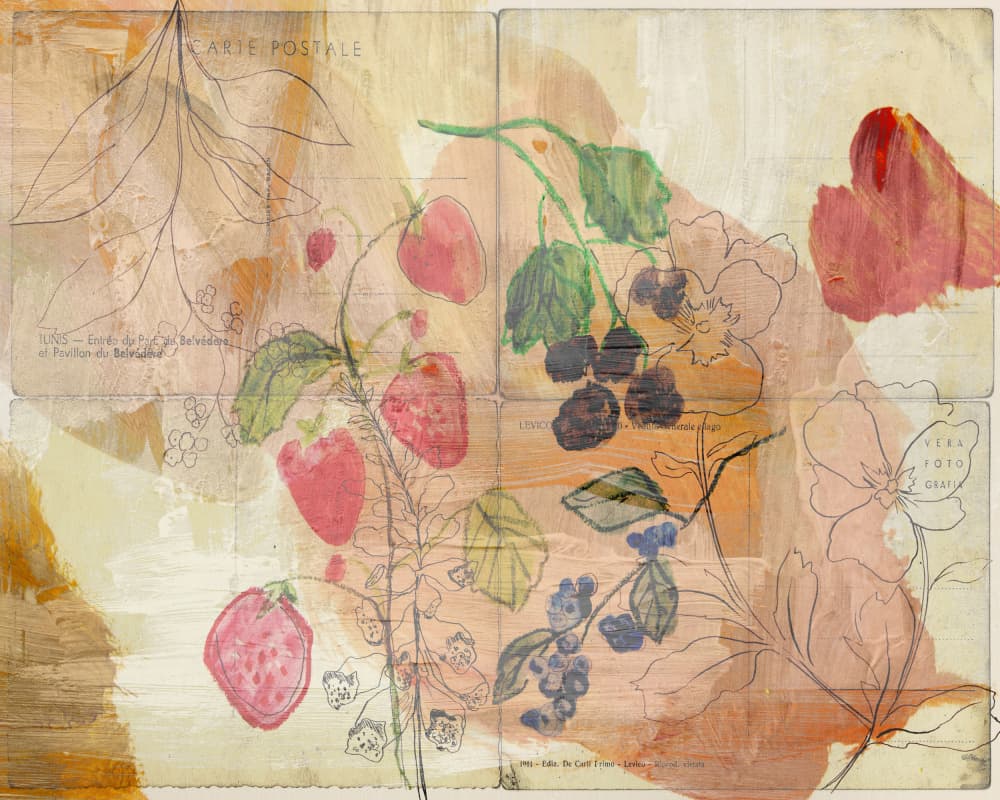 Vintage Berry Harvest by Gemma Bardot — canvas wall art