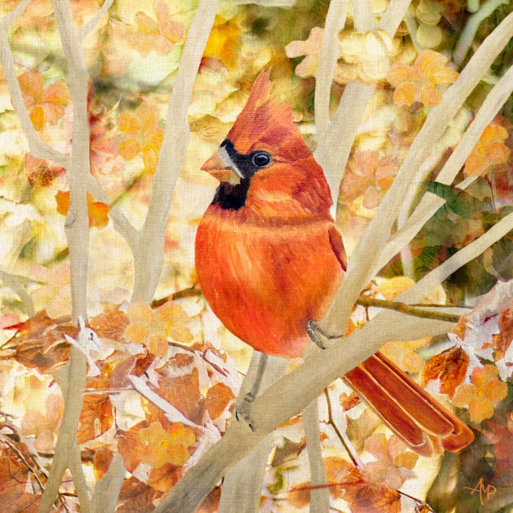 Red Cardinal Autumn Leaves by Angeles M. Pomata — canvas wall art