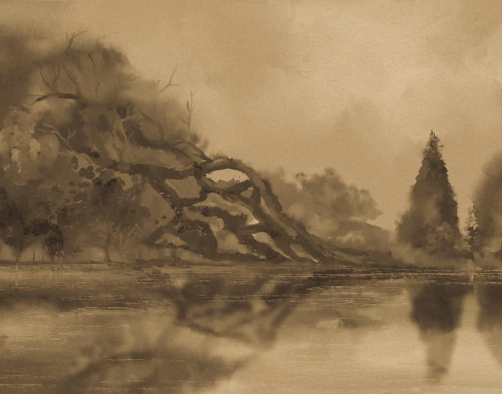 Misty Forest Reflections by Josie George — canvas wall art