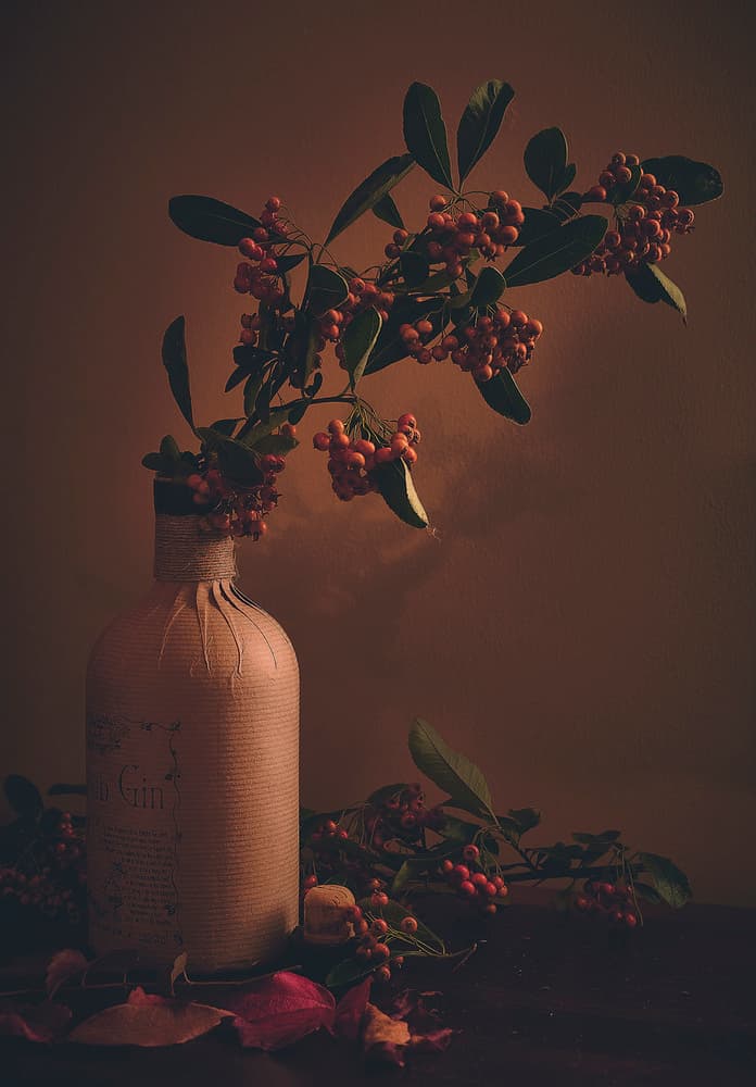 Rustic Berries in Bottle by Stuart Williams — canvas wall art