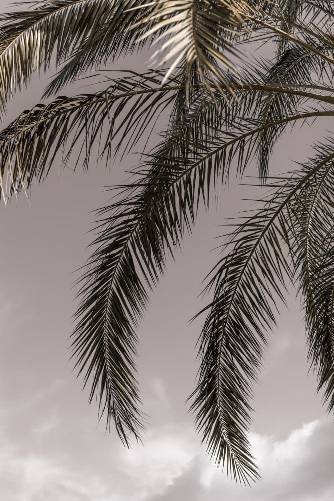 Sicilian Memories 3 by Mareike Böhmer — canvas wall art