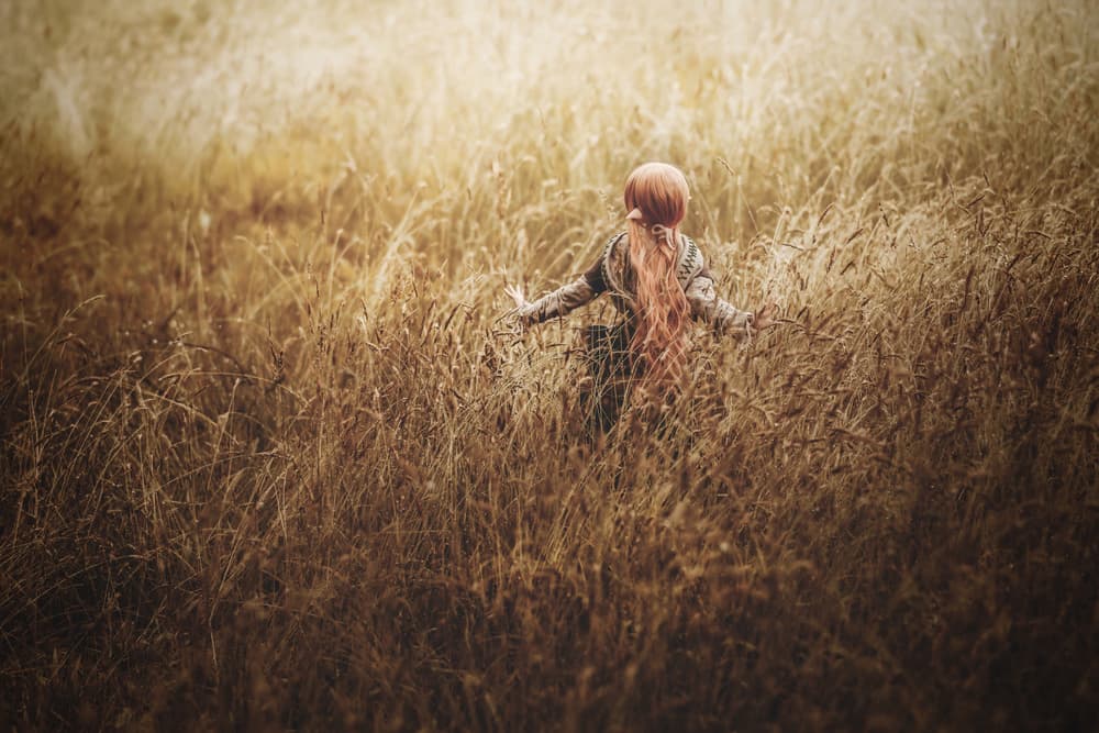 Redhead in Golden Field by Suzuhiko Suzuki — canvas wall art