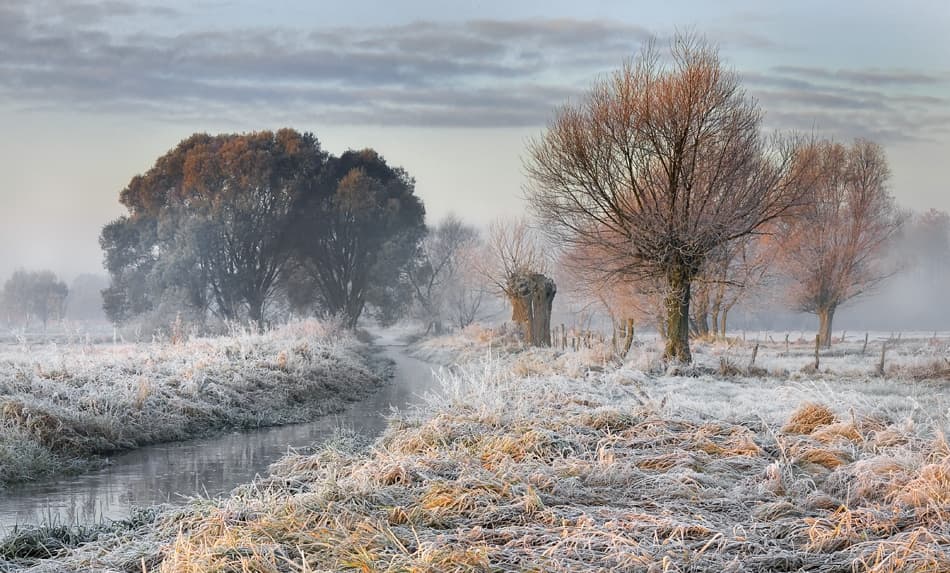 Frosty Winter Morning by Roman Lipinski © czeladnik — canvas wall art