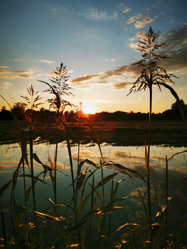 Golden Hour Reflection by Angelo Cerantola — canvas wall art