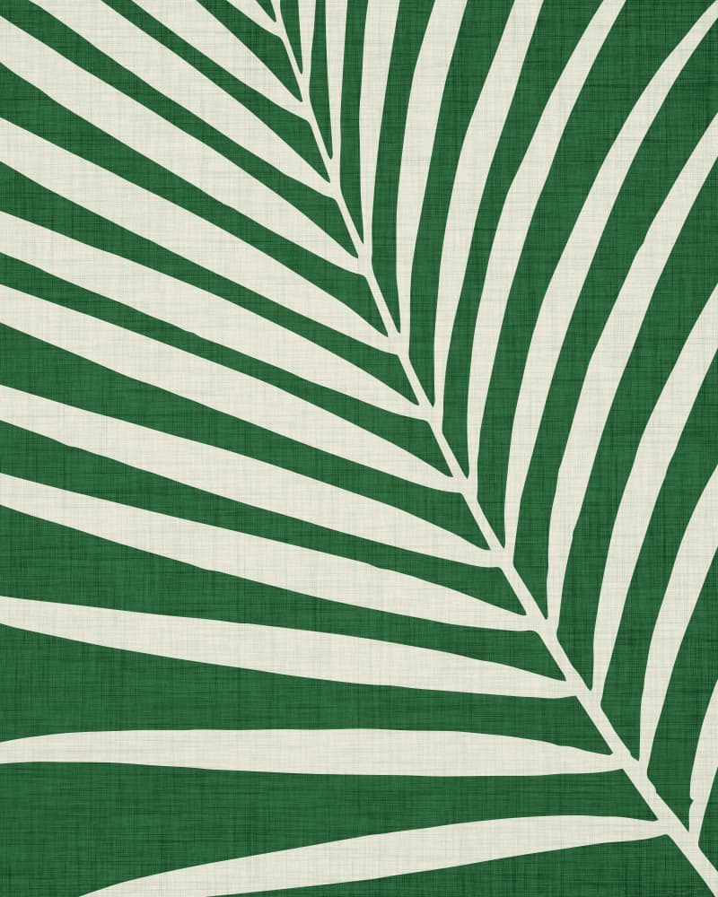 Emerald Frond 2 by Kristian Gallagher — canvas wall art