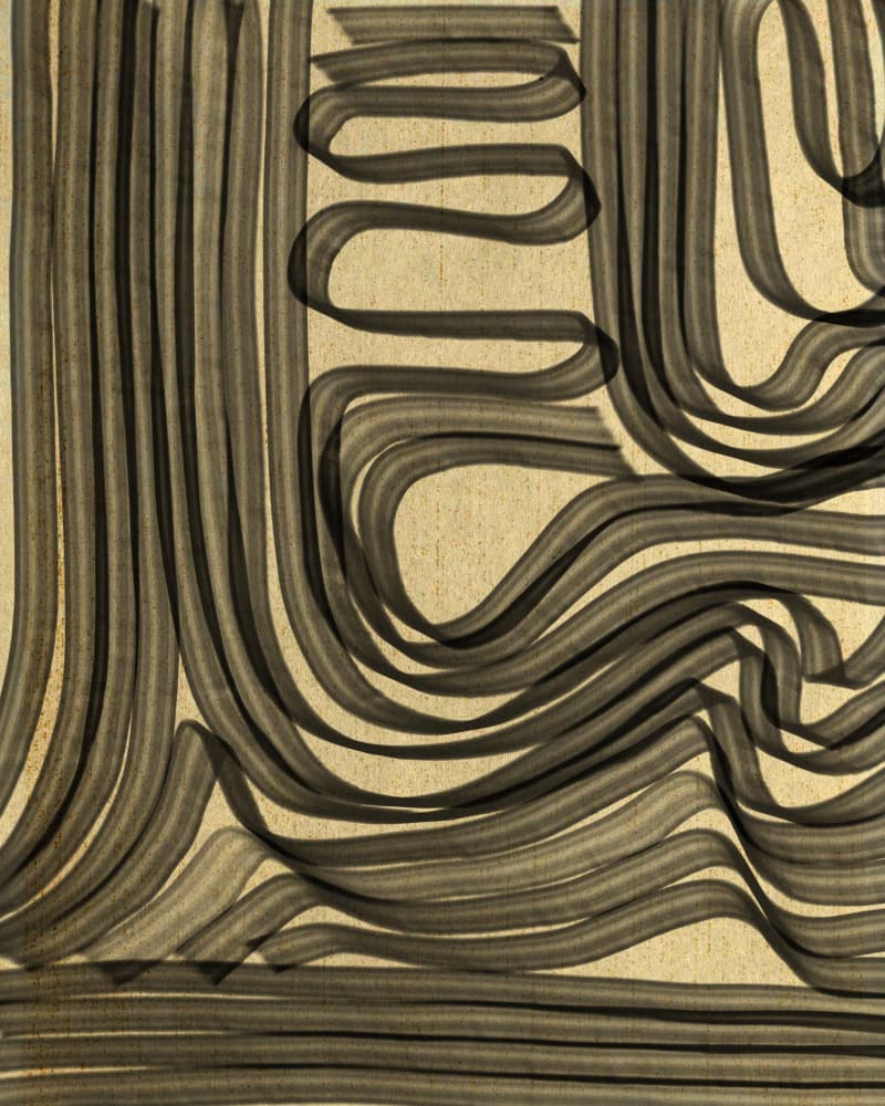 Fluid Black Lines by Josie George — canvas wall art