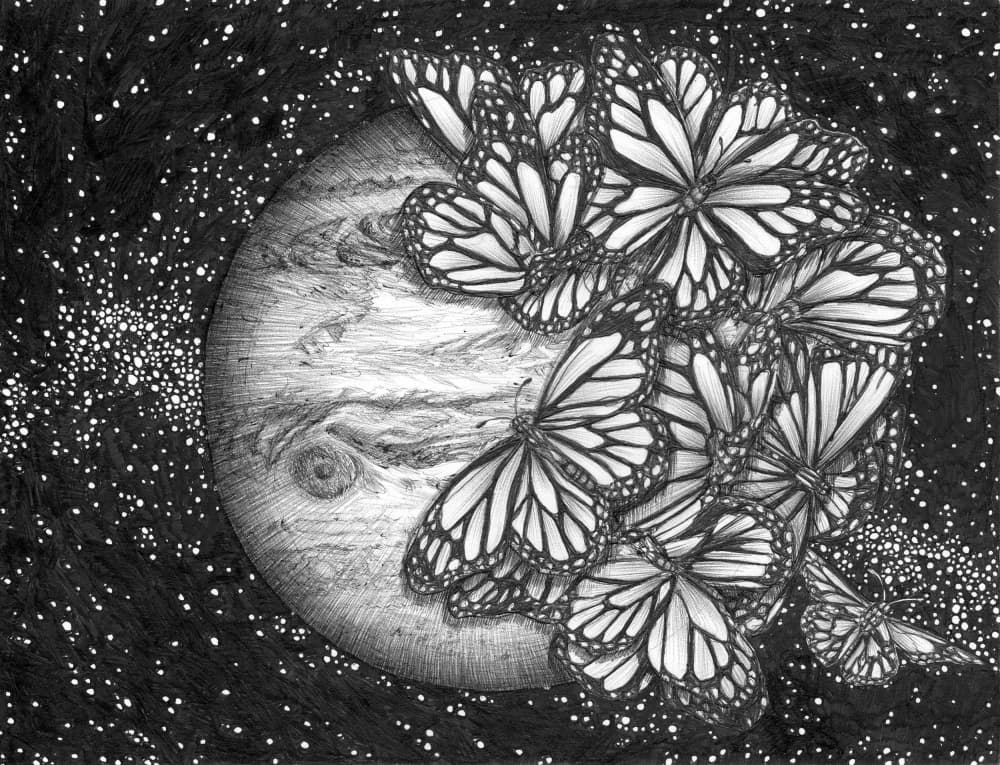 Cosmic Monarchs by EC Mazur — canvas wall art