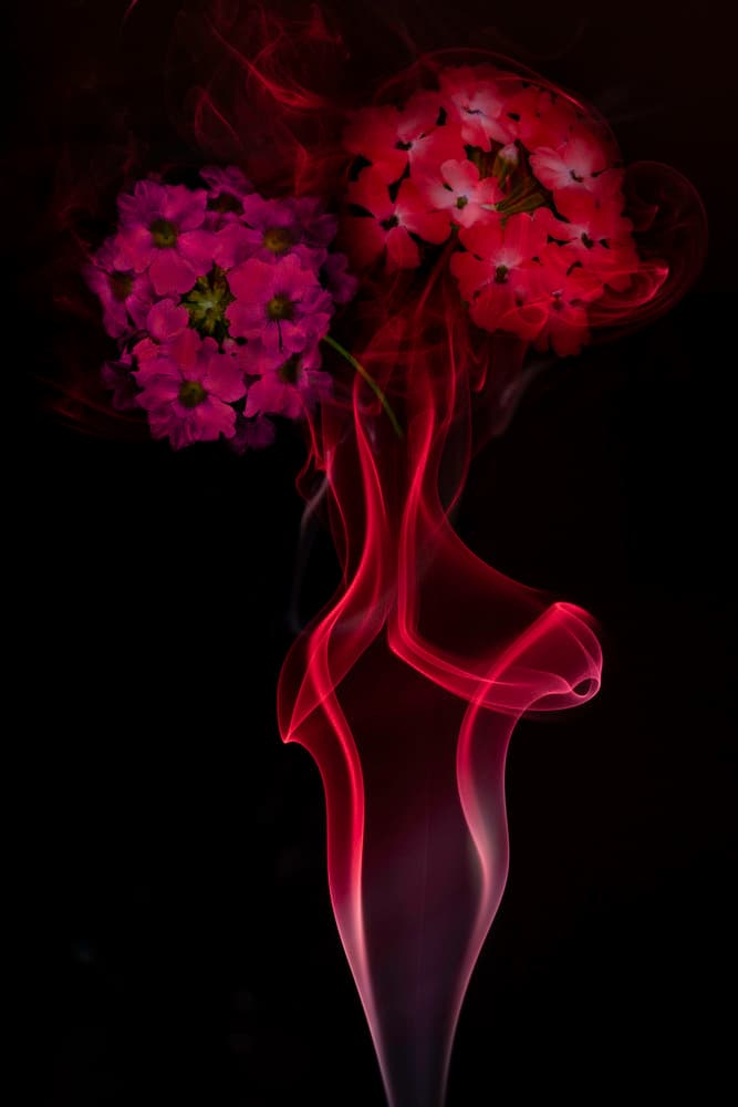 Vibrant Floral Smoke by Azriel Yakubovitch — canvas wall art