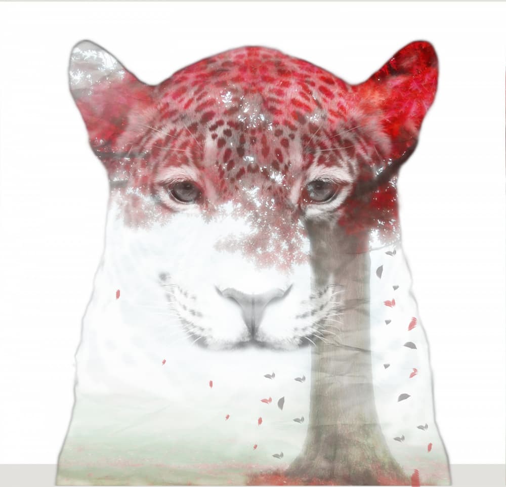 Red Leaf Leopard by Purplesunshine — canvas wall art