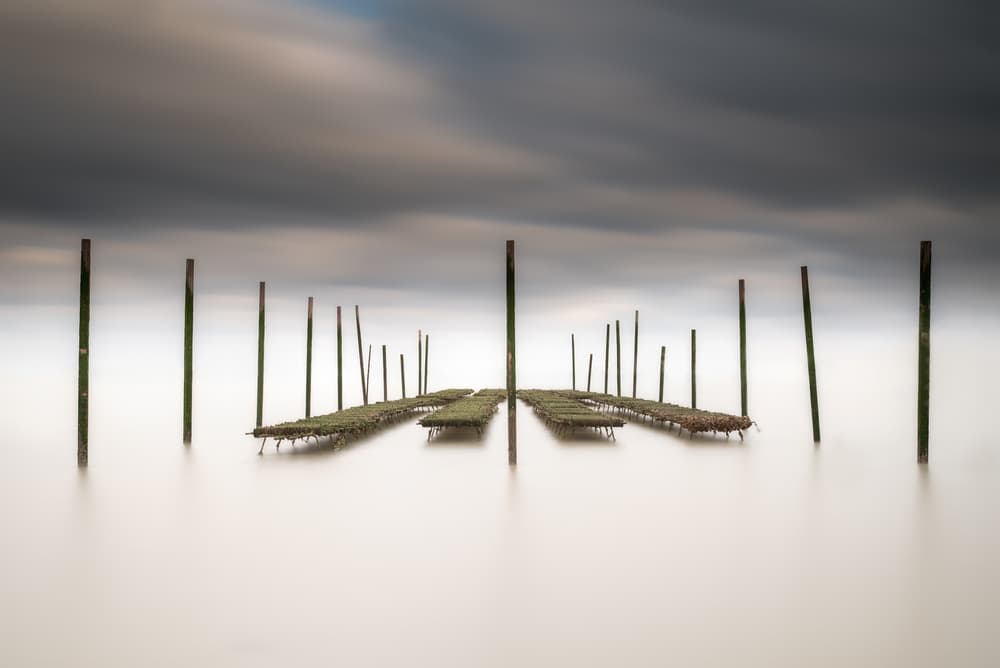 Moody Water Landscape by Christophe Staelens — canvas wall art