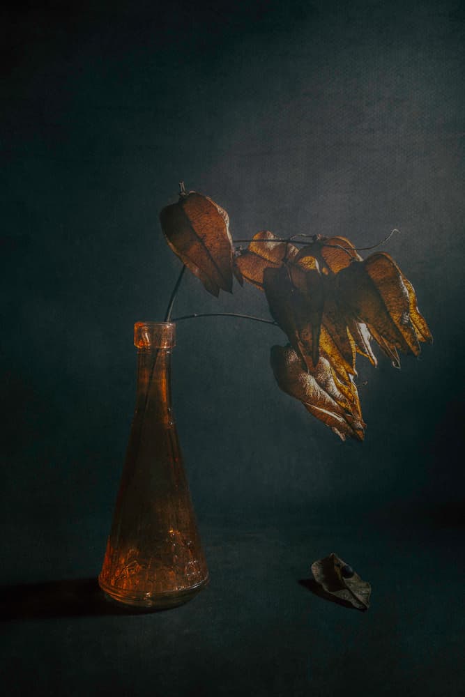 Dark Botanical Stillness by Cicek Kiral — canvas wall art