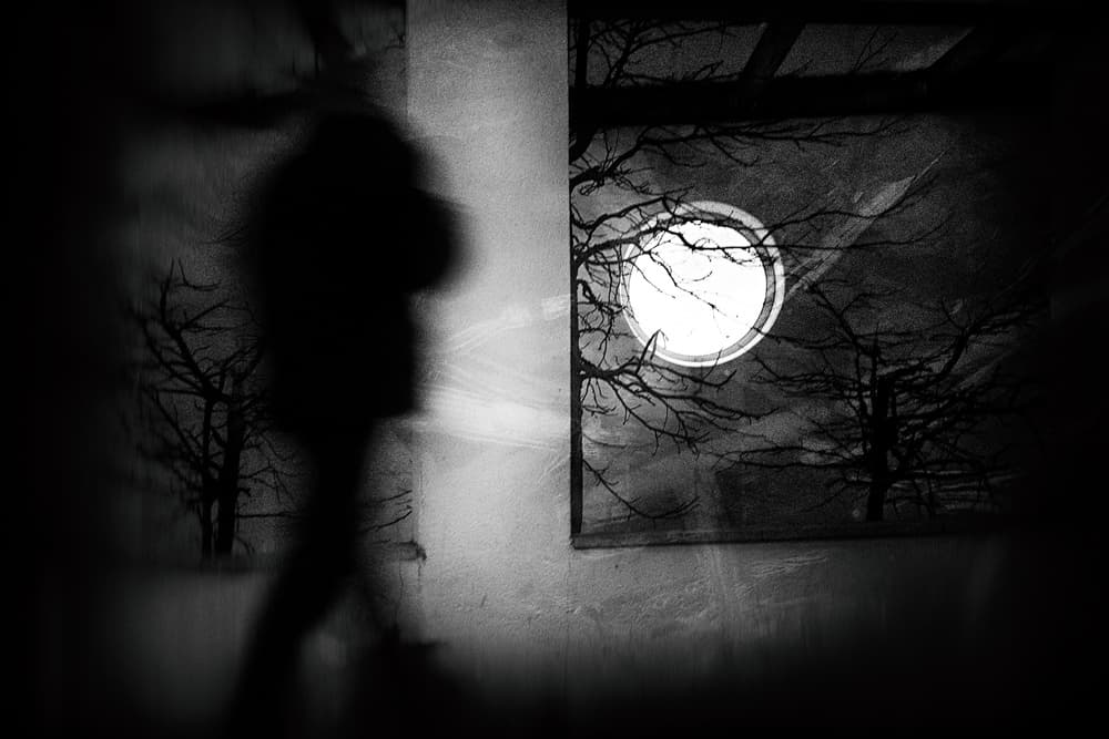 Lonely Moonlit Walker by Ina Tänzer — canvas wall art