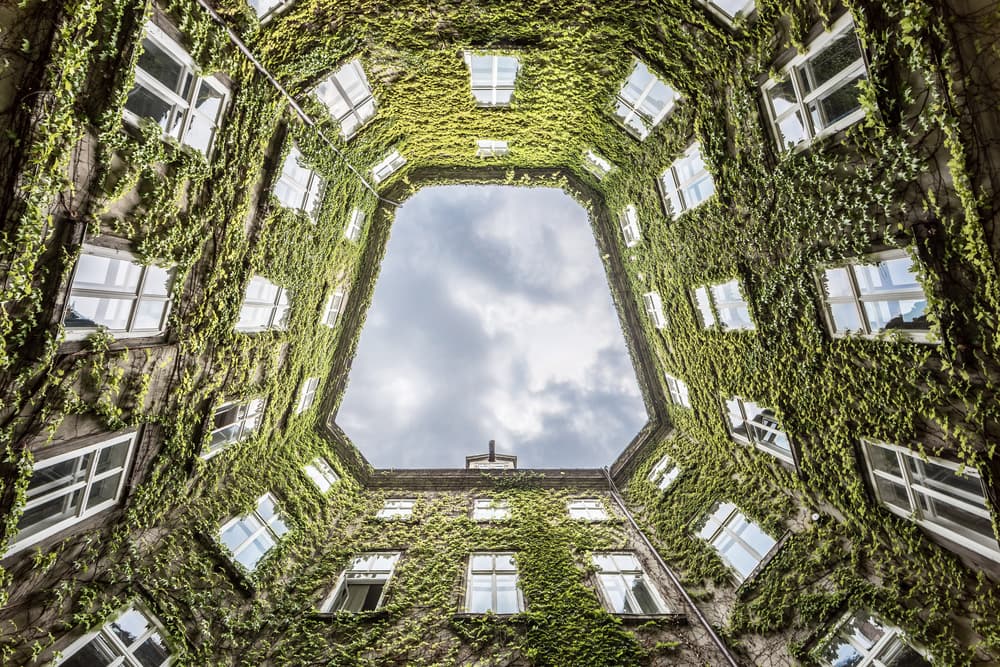 Ivy Covered Courtyard View by Lorenza Cancian — canvas wall art