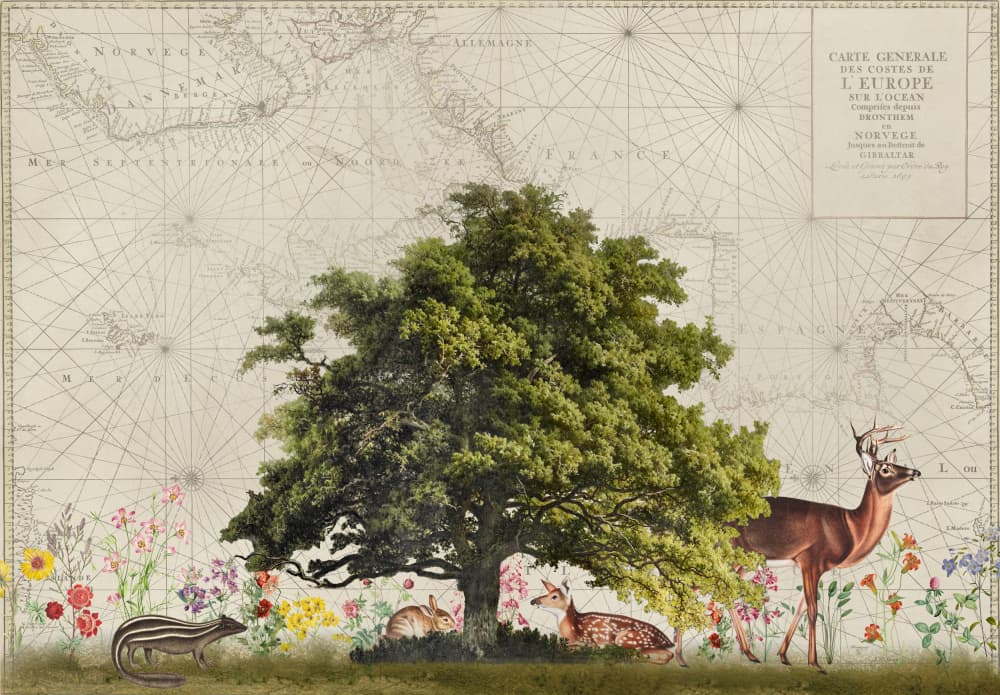 Woodland Animals on Map by Andrea Haase — canvas wall art
