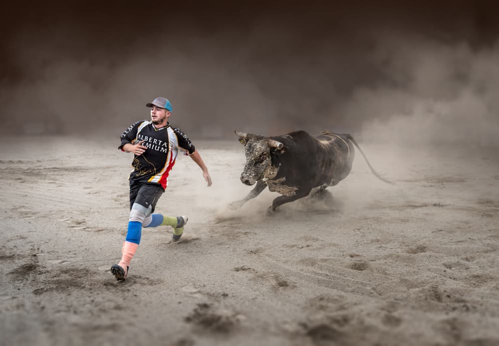 Bull Chase Action by Leeian Dai — canvas wall art