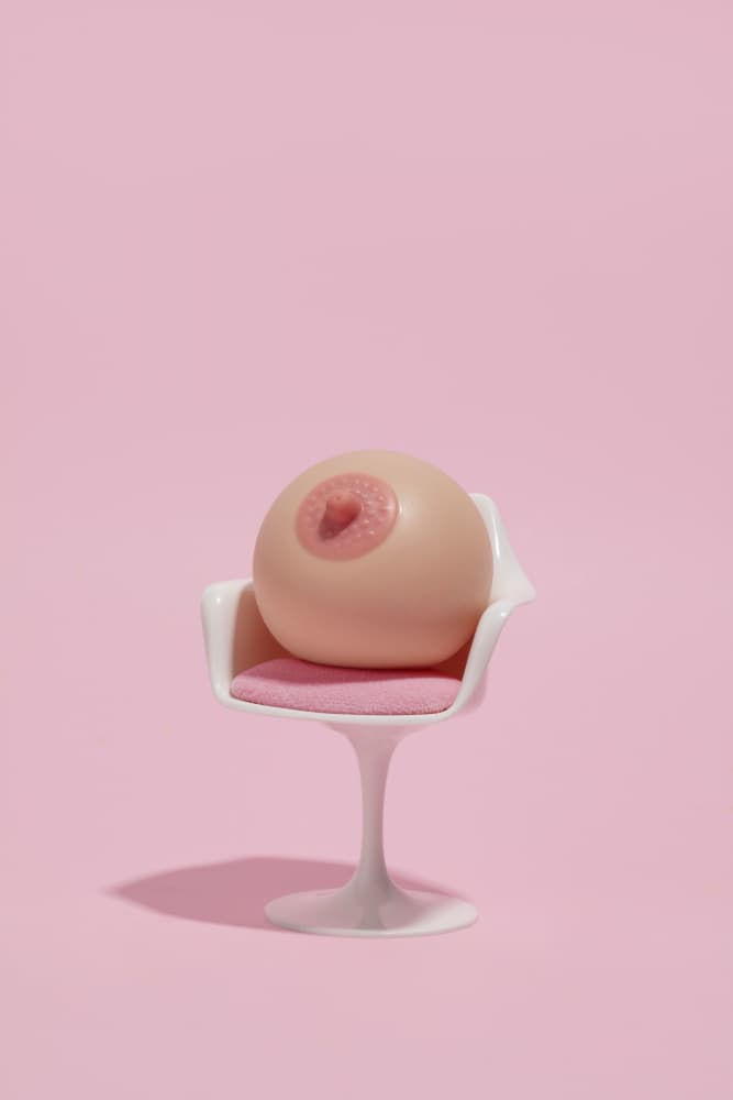 Seated Pink Breast by Julia Ramiro — canvas wall art