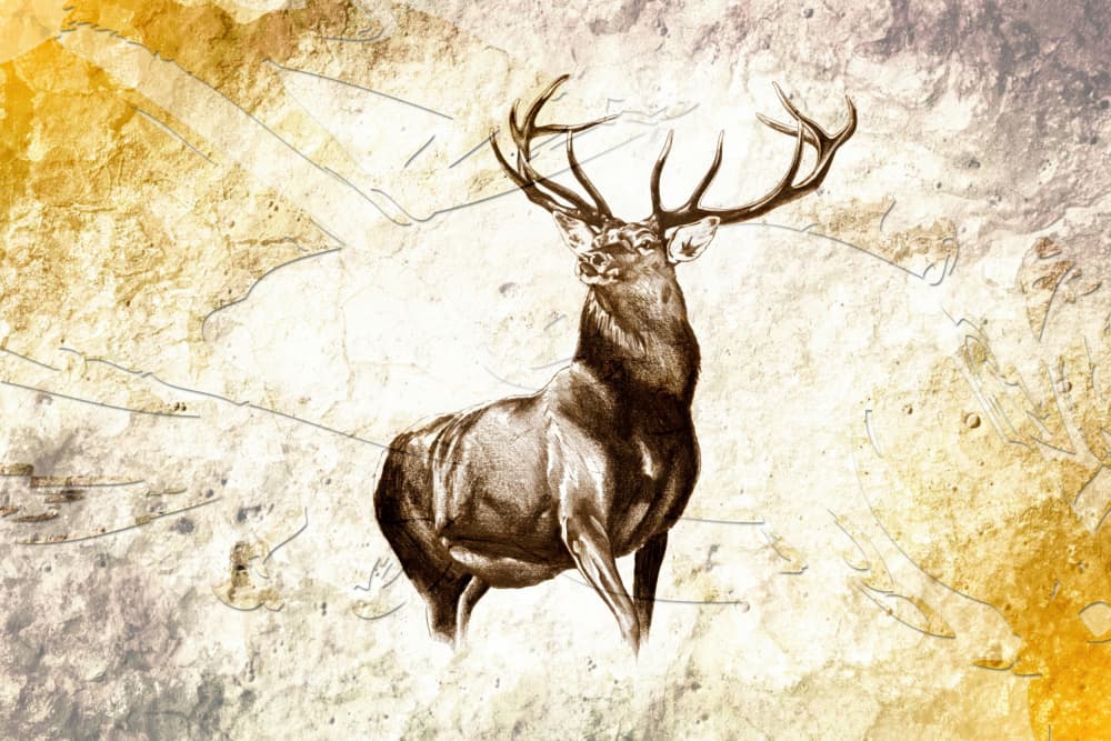 Regal Woodland Stag by Rafal Kulik — canvas wall art