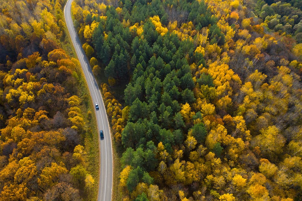 Winding Autumn Road by Dmitry Doronin — canvas wall art