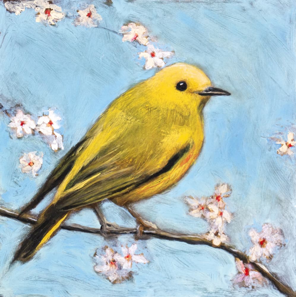 Yellow Bird Spring Blossoms by Claire Lerner — canvas wall art