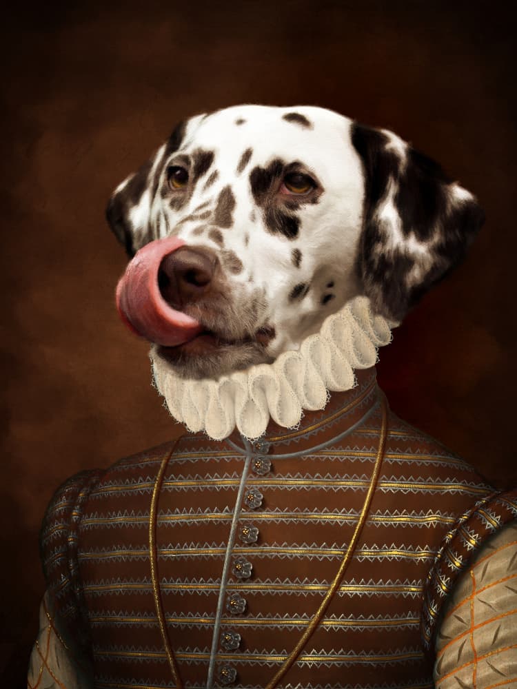 Noble Dalmatian Lick by Marja van den Hurk — canvas wall art