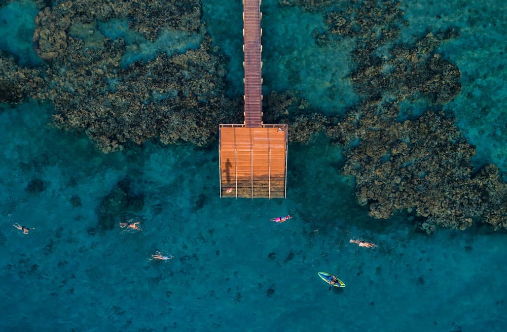 Tropical Pier Activities by Ido Meirovich — canvas wall art