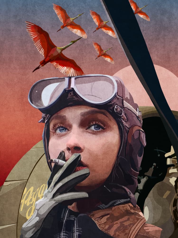 Aviator Dreams by Emel Tunaboylu — canvas wall art