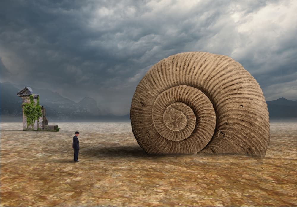 Man Contemplating Giant Shell by Hans Günther — canvas wall art