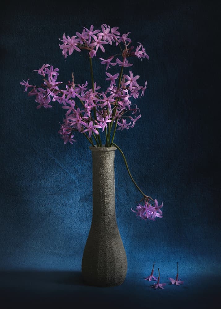Purple Flowers Still Life by Antonio Grambone — canvas wall art