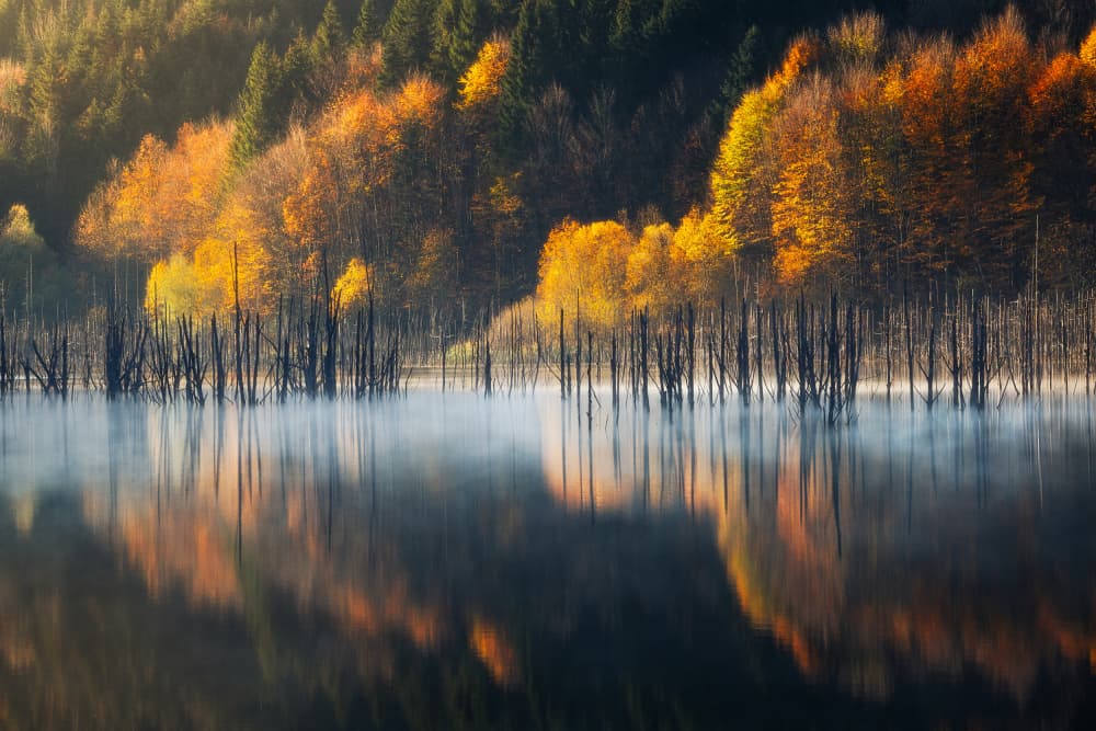 Misty Autumn Reflections by Vlad Paulet — canvas wall art