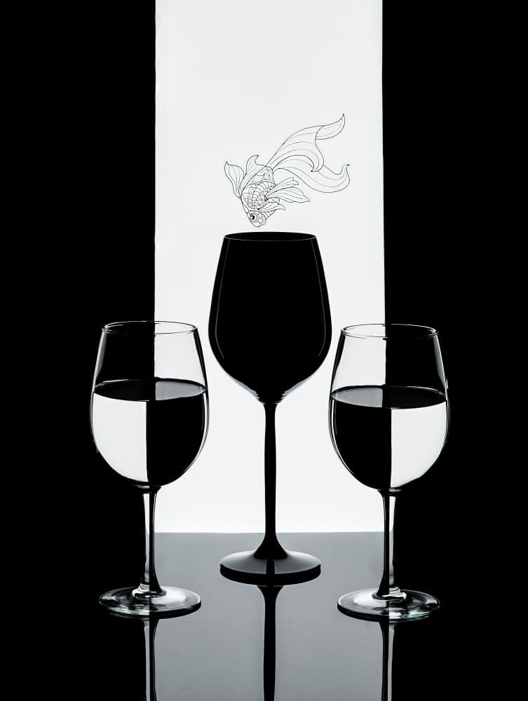 Goldfish Wine Contrast by Alice Sheng — canvas wall art