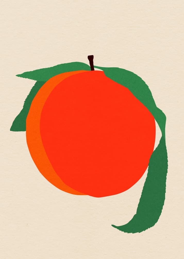 Peach by Rosi Feist — canvas wall art