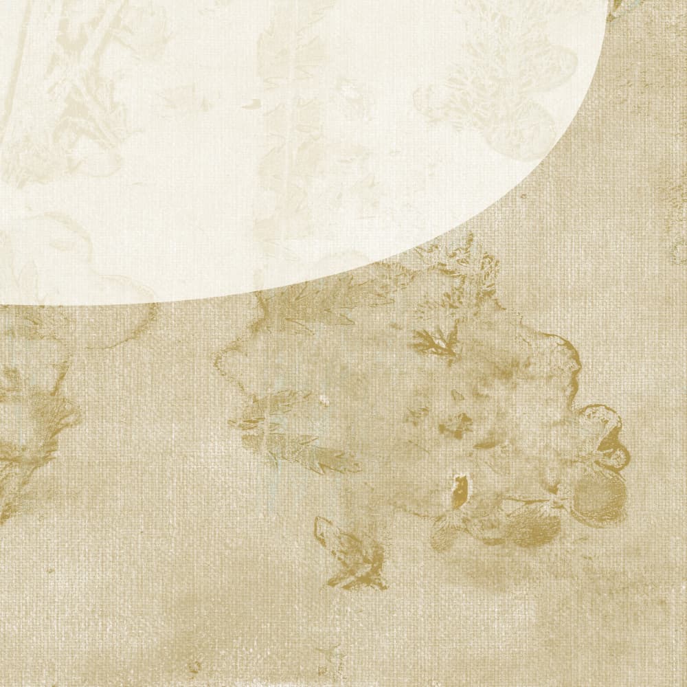Faded Botanical Elegance by Dina Dankers — canvas wall art