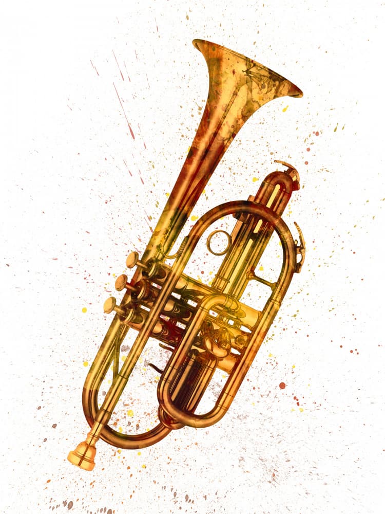 Golden Cornet Splash by Michael Tompsett — canvas wall art