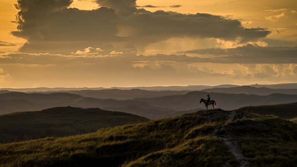 Lone Rider Golden Sunset by Els Keurlinckx — canvas wall art