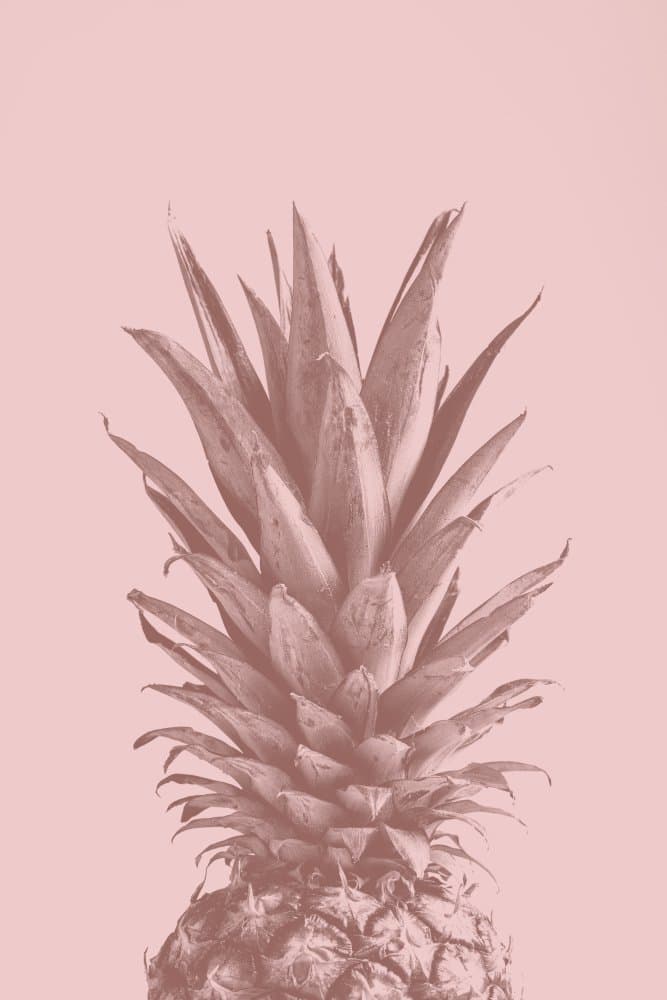 Blush Pink Pineapple by Pictufy Studio III — canvas wall art