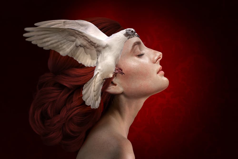 Ethereal Dove Dream by Marcel Egger — canvas wall art