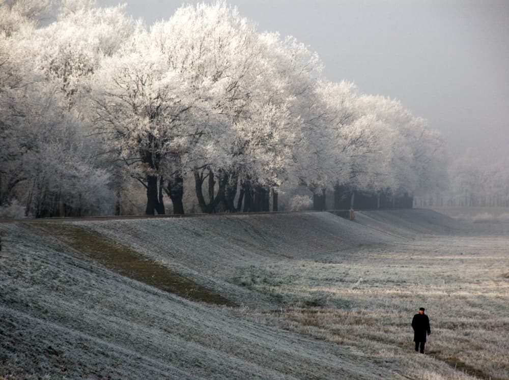 Frosty Morning Stroll by Jacek Stefan — canvas wall art