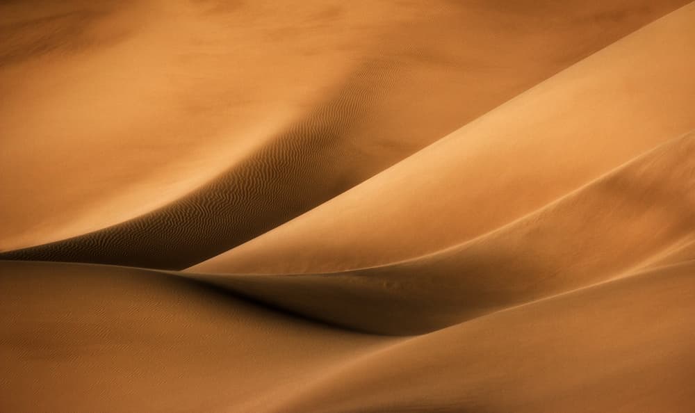 Golden Desert Flow by Babak Mehrafshar — canvas wall art