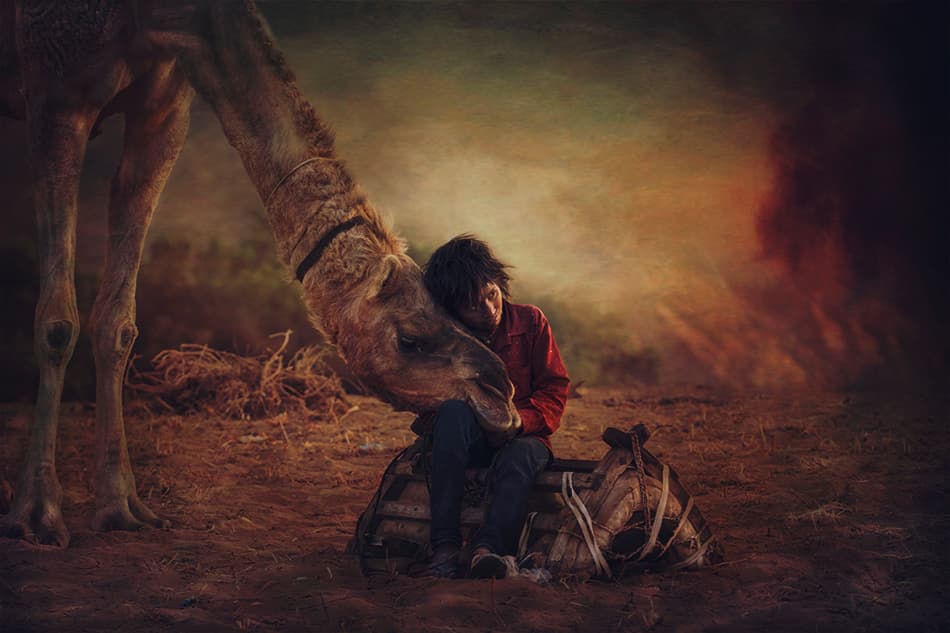 Boy and Camel Together by Svetlin Yosifov — canvas wall art