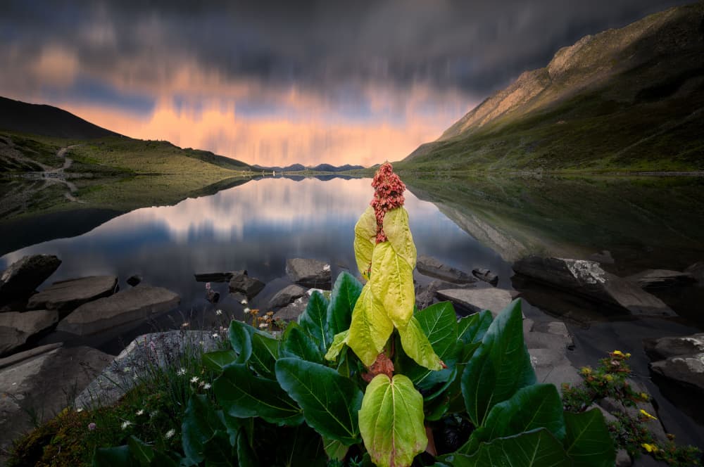 Alpine Lake Golden Hour by YANGYING — canvas wall art