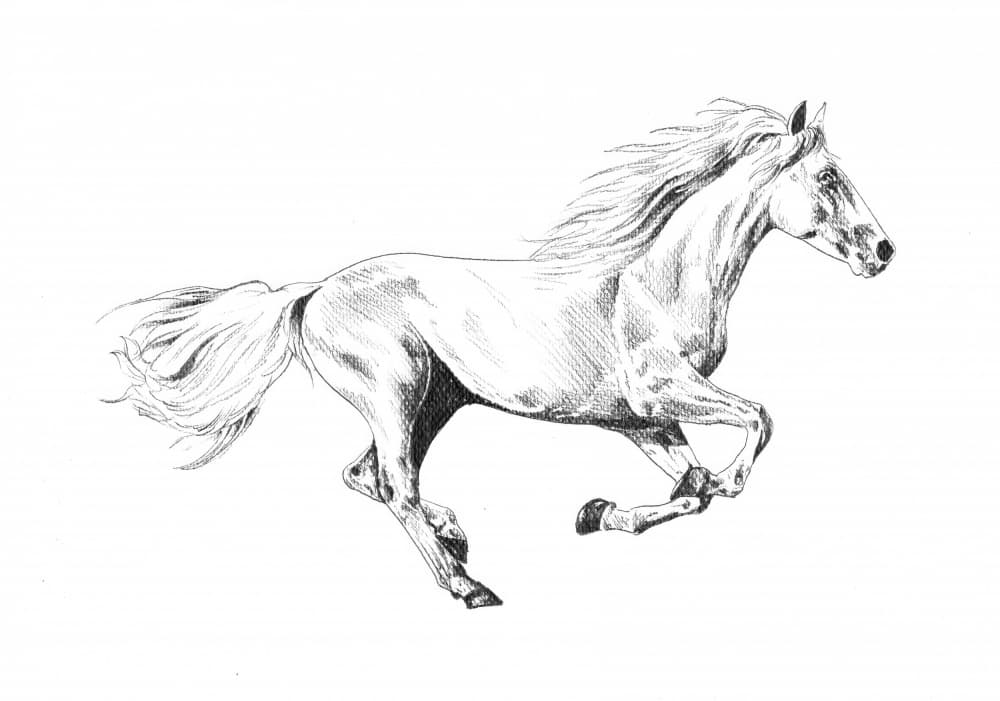 Majestic Running Horse by Kulik — canvas wall art