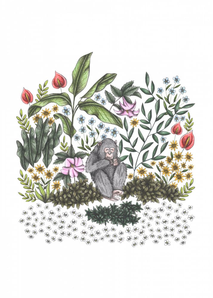 Whimsical Jungle Monkey by Cecilia Battaini — canvas wall art