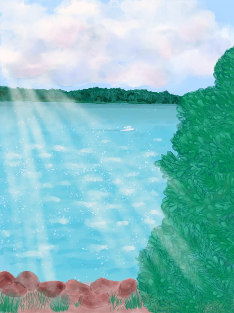 Sunny Lake Rays by Aliya Putrus — canvas wall art