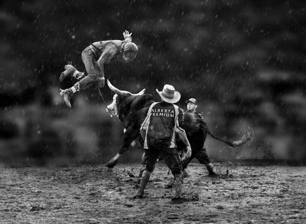 Dramatic Bull Ride by Leeian Dai — canvas wall art