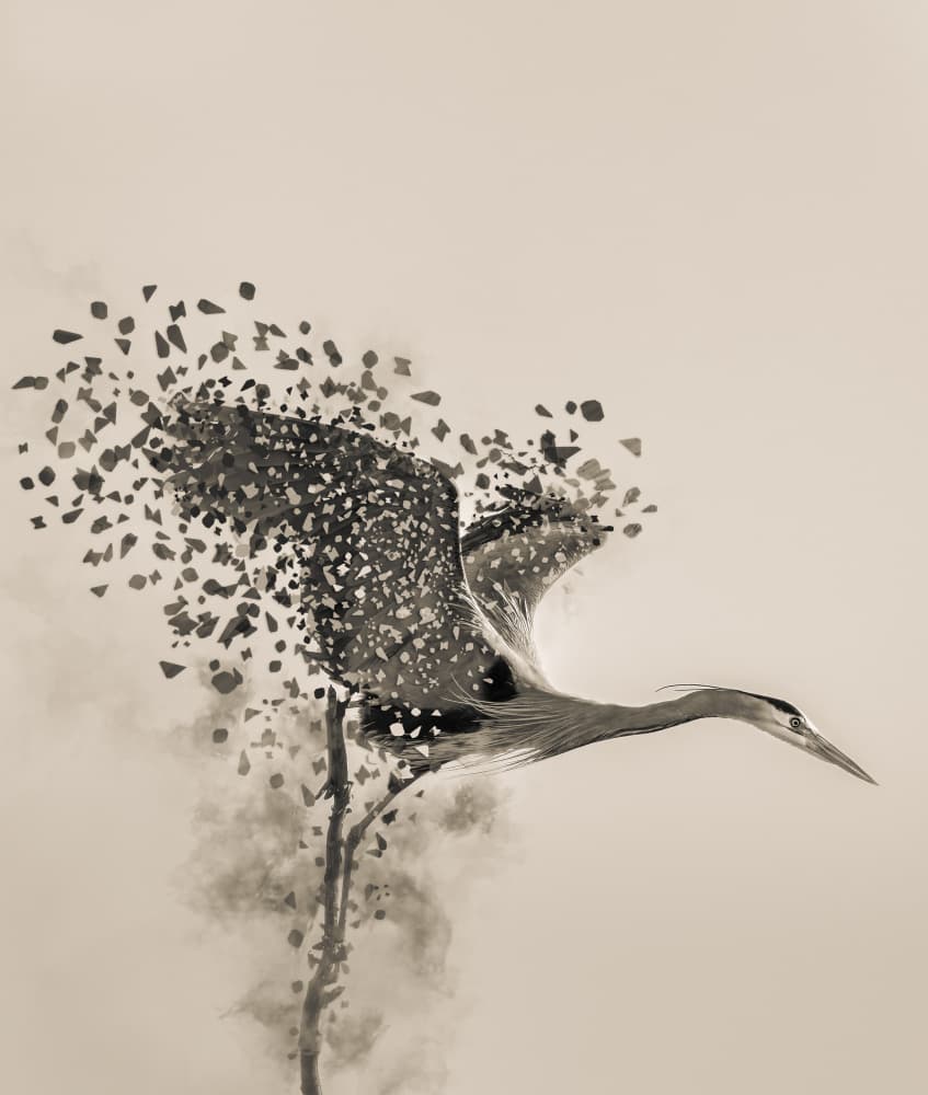 Heron's Ethereal Flight by Yunqiang Li — canvas wall art