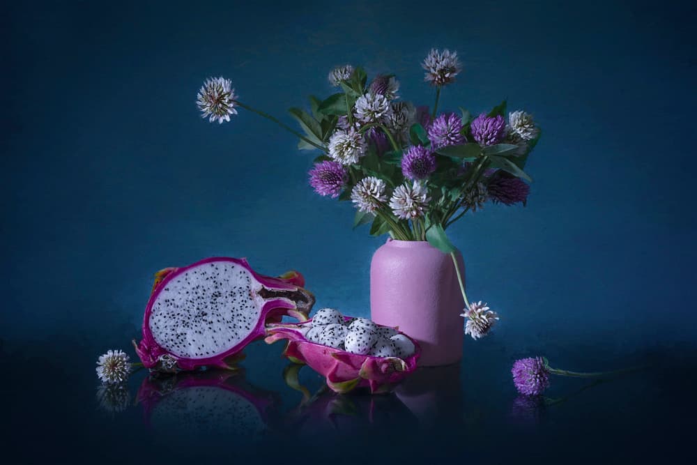 Moody Dragon Fruit Blooms by Lydia Jacobs — canvas wall art