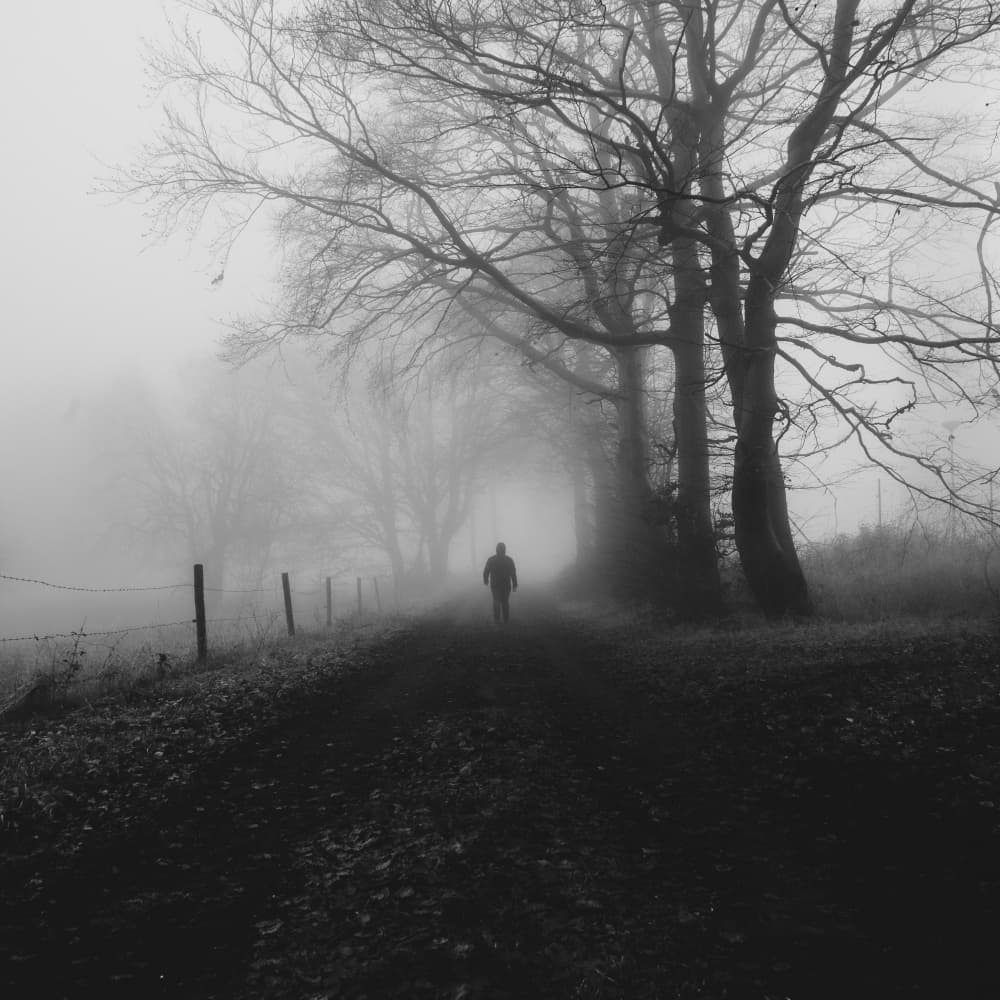 Man on Foggy Path by Robert Kuavi — canvas wall art