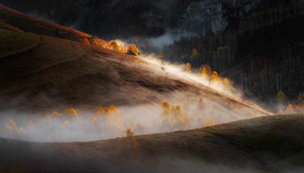 Golden Autumn Mist by Stefan Hogea — canvas wall art